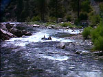 Pyrenees