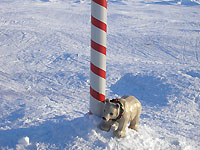 Bruno at the 'North Pole'