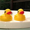 Richard's picture of rubber ducks in South Africa