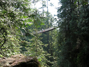 Lynn Canyon Suspension Bridge