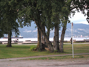 Locarno Beach Park