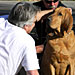 5th Annual Quench the Fire 5K Run & Walk at Woodley Park in Van Nuys - December 4, 2011