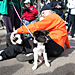 7th Annual Quench the Fire 5K Run & Walk at Woodley Park in Van Nuys - December 8, 2013