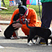 7th Annual Quench the Fire 5K Run & Walk at Woodley Park in Van Nuys - December 8, 2013