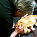 Oz Comic-Con in Melbourne, Australia - petting a dingo - July 6, 2014