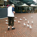 Darling Harbour near Sydney, Australia - September 25, 2015