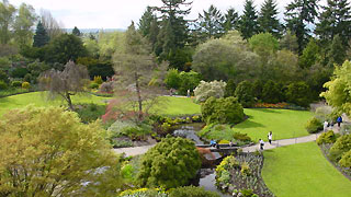 Queen Elizabeth Park