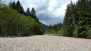 Seymour Demonstration Forest