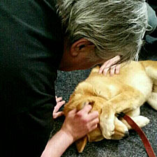 Richard petting a dingo at Oz Comic-Con Melbourne 2014