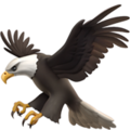 eagle