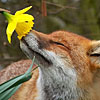 Take time to smell the flowers.