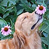 Take time to smell the flowers